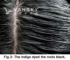 250617143658_Hair-Dyed with indigo-s.jpg